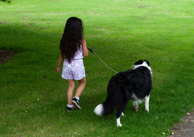 niña paseando perro