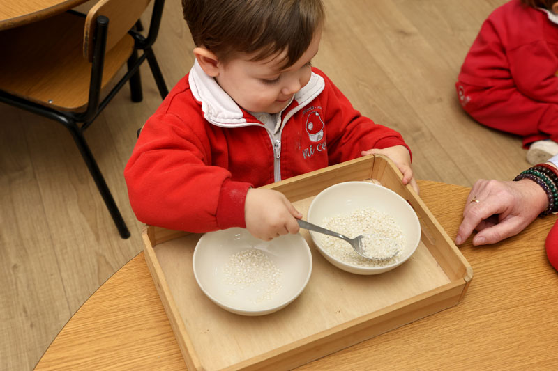 niño aprendiendo sobre los alimentos